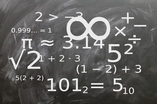 开云中国-中小学体育课程教学内容优化研究，中小学体育教学内容的衔接研究