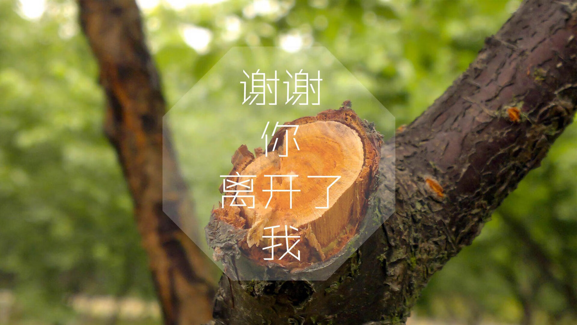 “世界游泳锦标赛游泳项目，哪些选手能脱颖而出？”