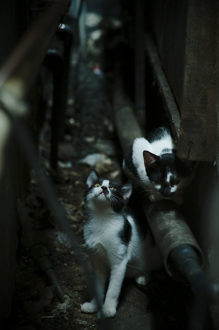 西班牙男选手划频节奏控制良好,西班牙男网红