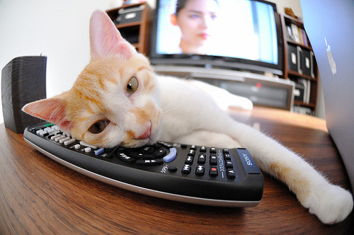 防守阵容搭配对进攻端的限制分析，防守还是进攻